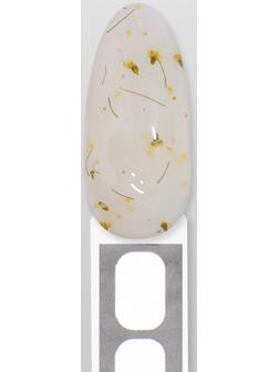 Гель для наращивания, с сухоцветами, 3-х фазный, 9 гр, LED/UV, цвет прозрачный/белый