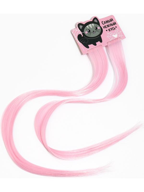 Цветные пряди для волос, 2 шт «Нежный кусь»,9 х 11,6 см, (нежно-розовый)