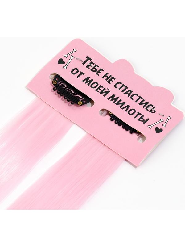 Цветные пряди для волос, 2 шт «Нежный кусь»,9 х 11,6 см, (нежно-розовый)