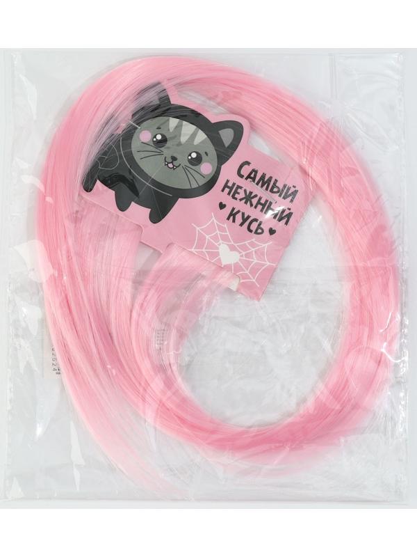 Цветные пряди для волос, 2 шт «Нежный кусь»,9 х 11,6 см, (нежно-розовый)