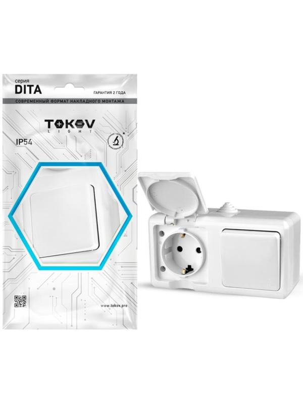 Блок ОП Dita (розетка 16А 250В с заземл. + 1-кл. выкл. 10А) IP54 бел. TOKOV ELECTRIC TKL-DT-V1RZ-C01