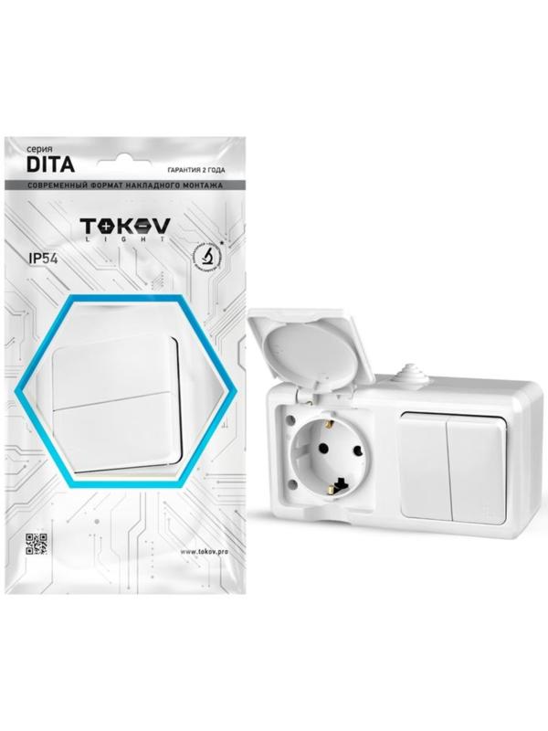 Блок ОП Dita (розетка 16А 250В с заземл. + 2-кл. выкл. 10А) IP54 бел. TOKOV ELECTRIC TKL-DT-V2RZ-C01
