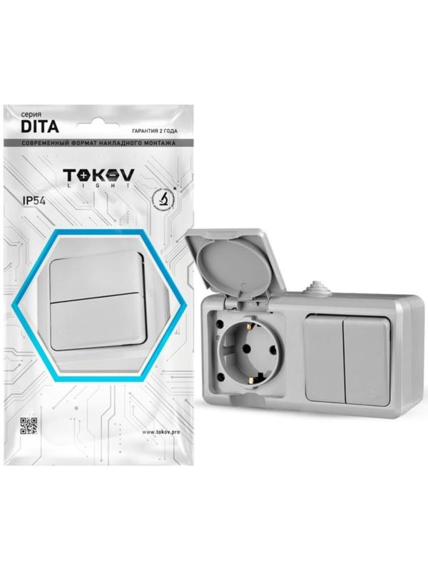 Блок ОП Dita (розетка 16А 250В с заземл. + 2-кл. выкл. 10А) IP54 сер. TOKOV ELECTRIC TKL-DT-V2RZ-C06