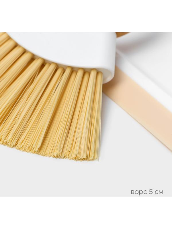 Щётка с совком Raccoon Meli, бамбуковая ручка, совок 18×16,5×4 см, щётка 15х11 см, ворс 5 см