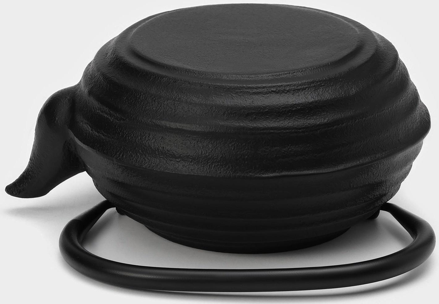 Чайник чугунный с эмалированным покрытием внутри Magma «Танан», 800 мл, с ситом