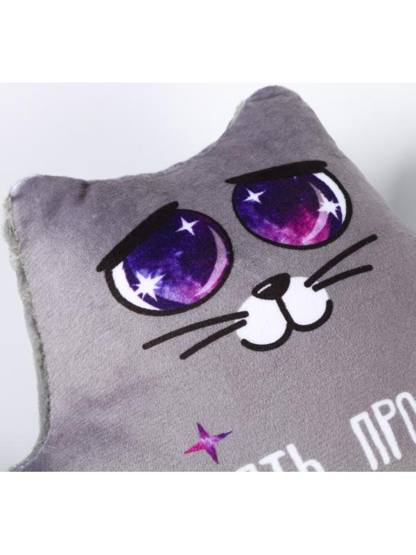 УЦЕНКА Автоигрушка на присосках «Понять, простить и позвонить», котик