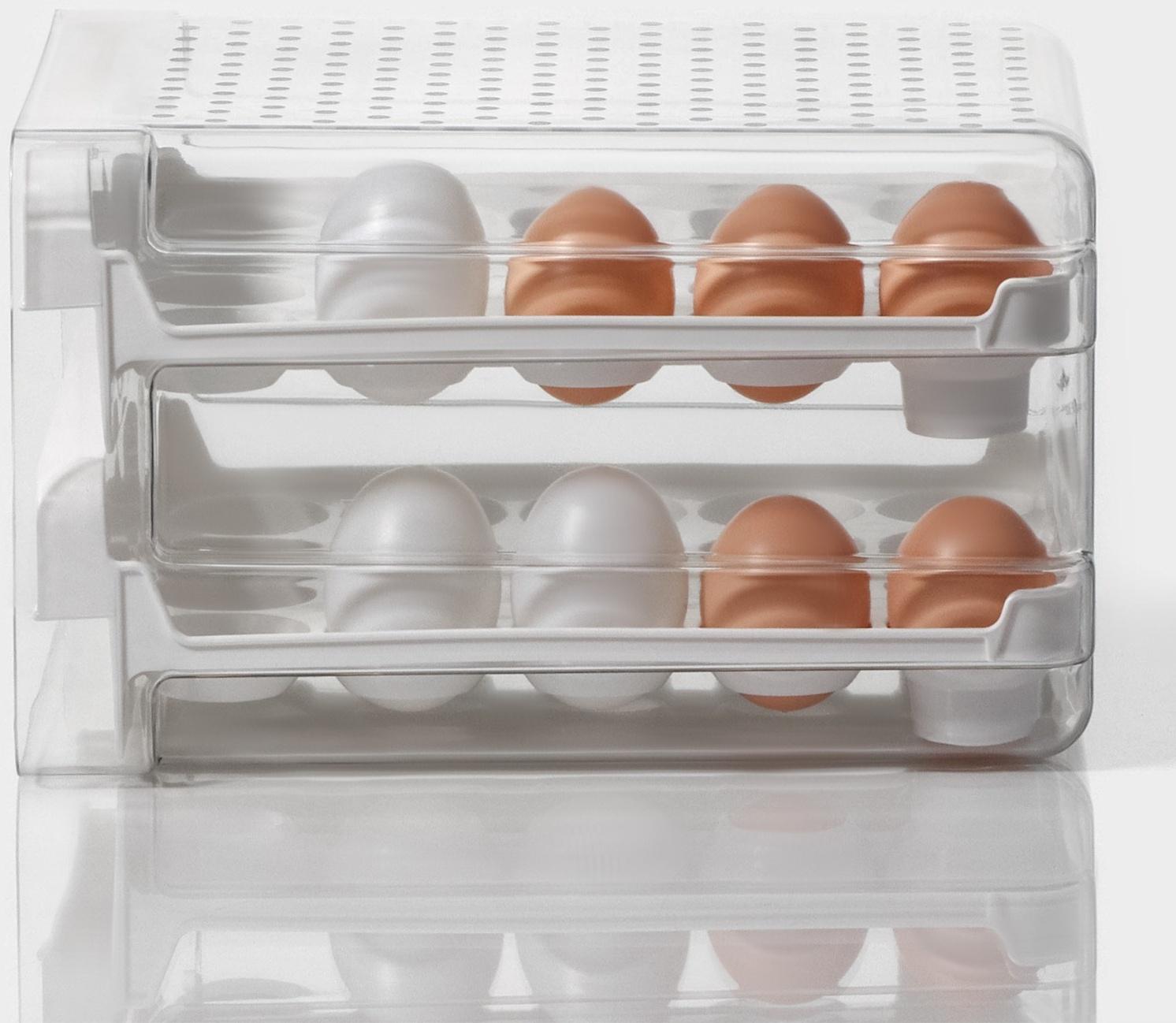 Контейнер для хранения яиц Доляна, 40 ячеек, 27×22×16 см, цвет белый