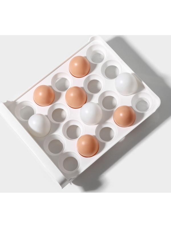 Контейнер для хранения яиц Доляна, 40 ячеек, 27×22×16 см, цвет белый