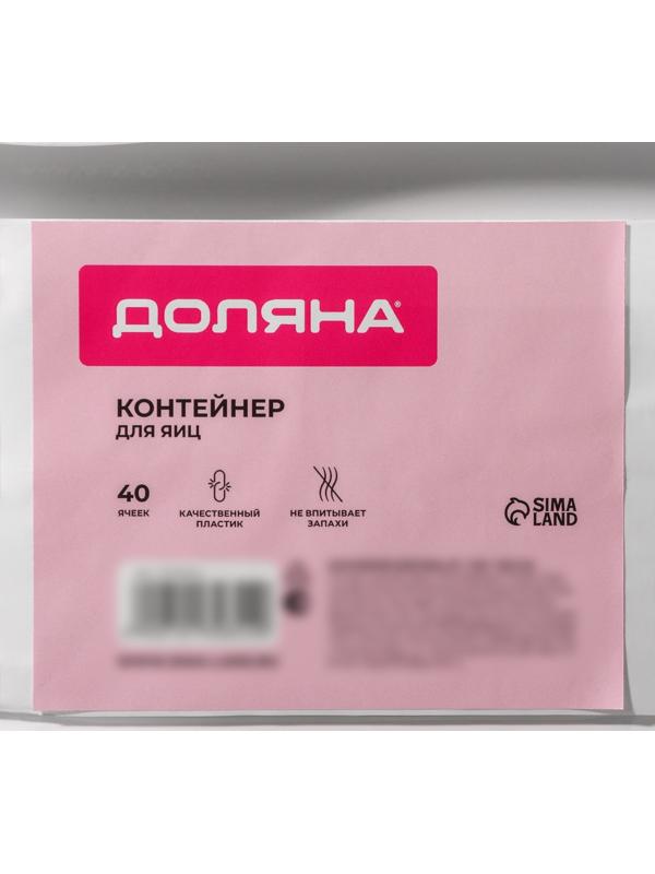 Контейнер для хранения яиц Доляна, 40 ячеек, 27×22×16 см, цвет белый