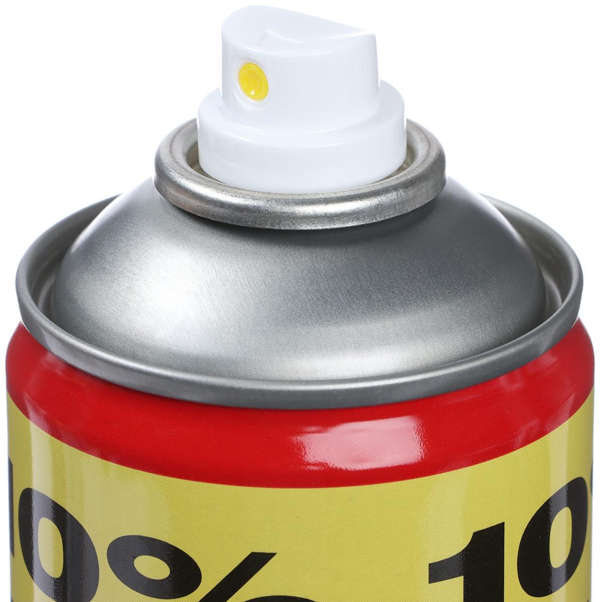 Полироль пластика Plak Виноград, аэрозоль, 750 мл