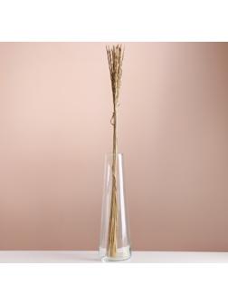 Набор сухоцветов 