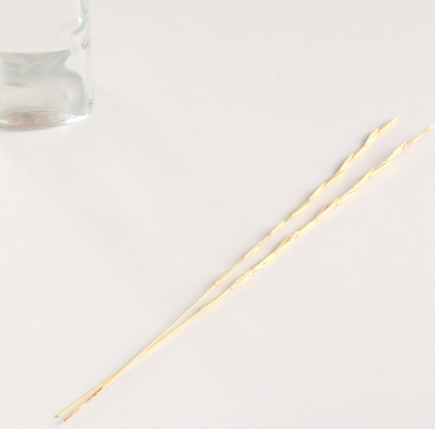 Набор сухоцветов 