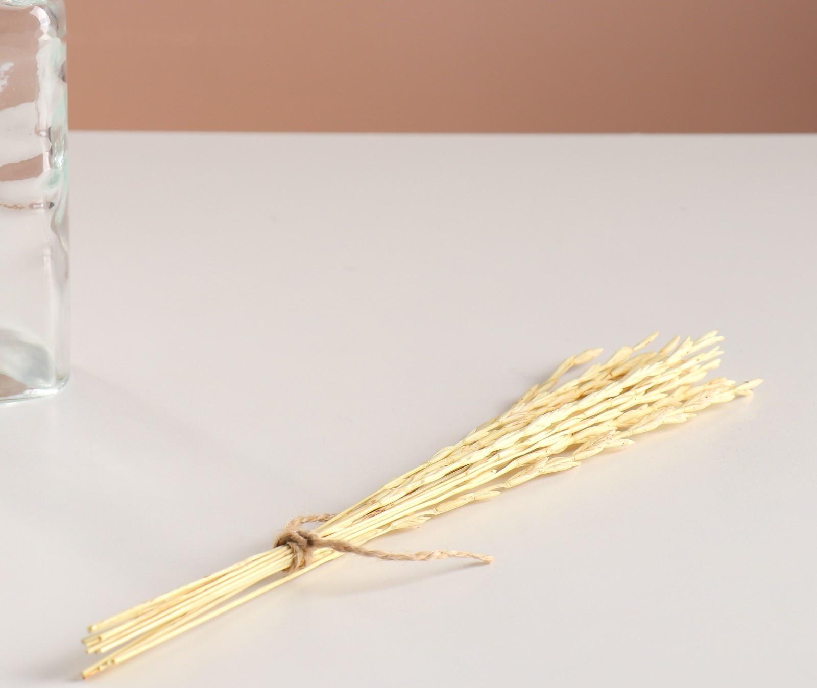 Набор сухоцветов 