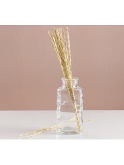 Набор сухоцветов 