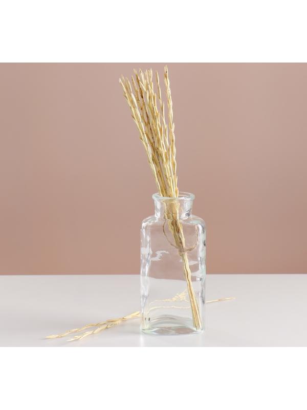 Набор сухоцветов 