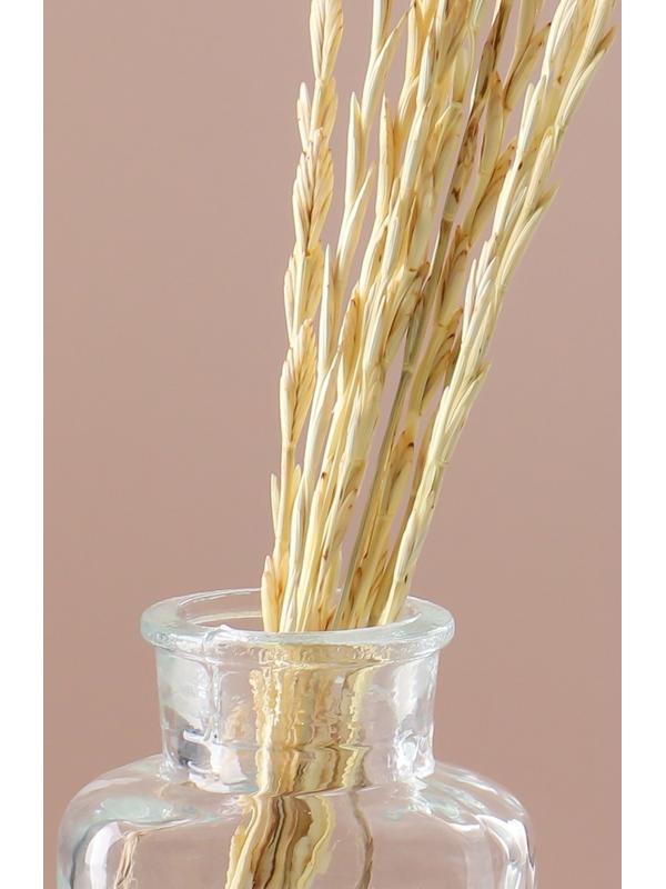 Набор сухоцветов 