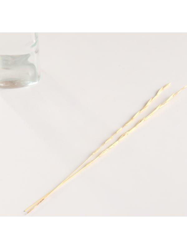 Набор сухоцветов 