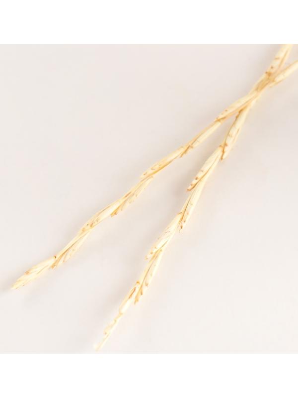 Набор сухоцветов 