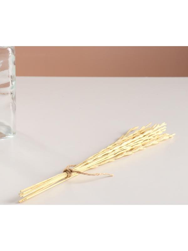 Набор сухоцветов 