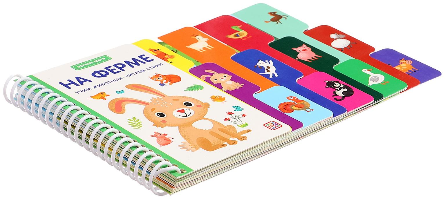 Книжка-картонка 