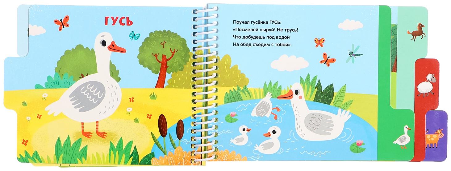 Книжка-картонка 