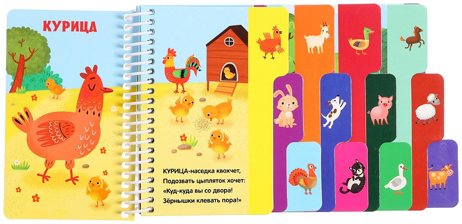 Книжка-картонка 