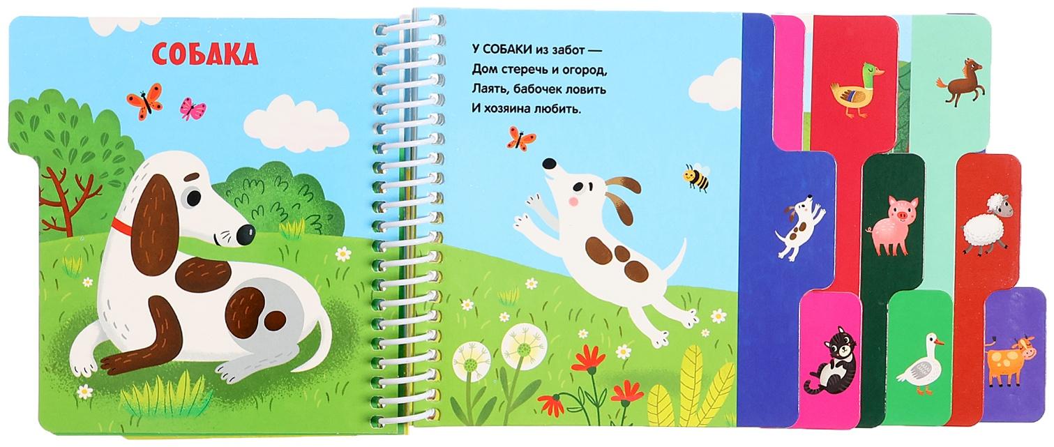 Книжка-картонка 