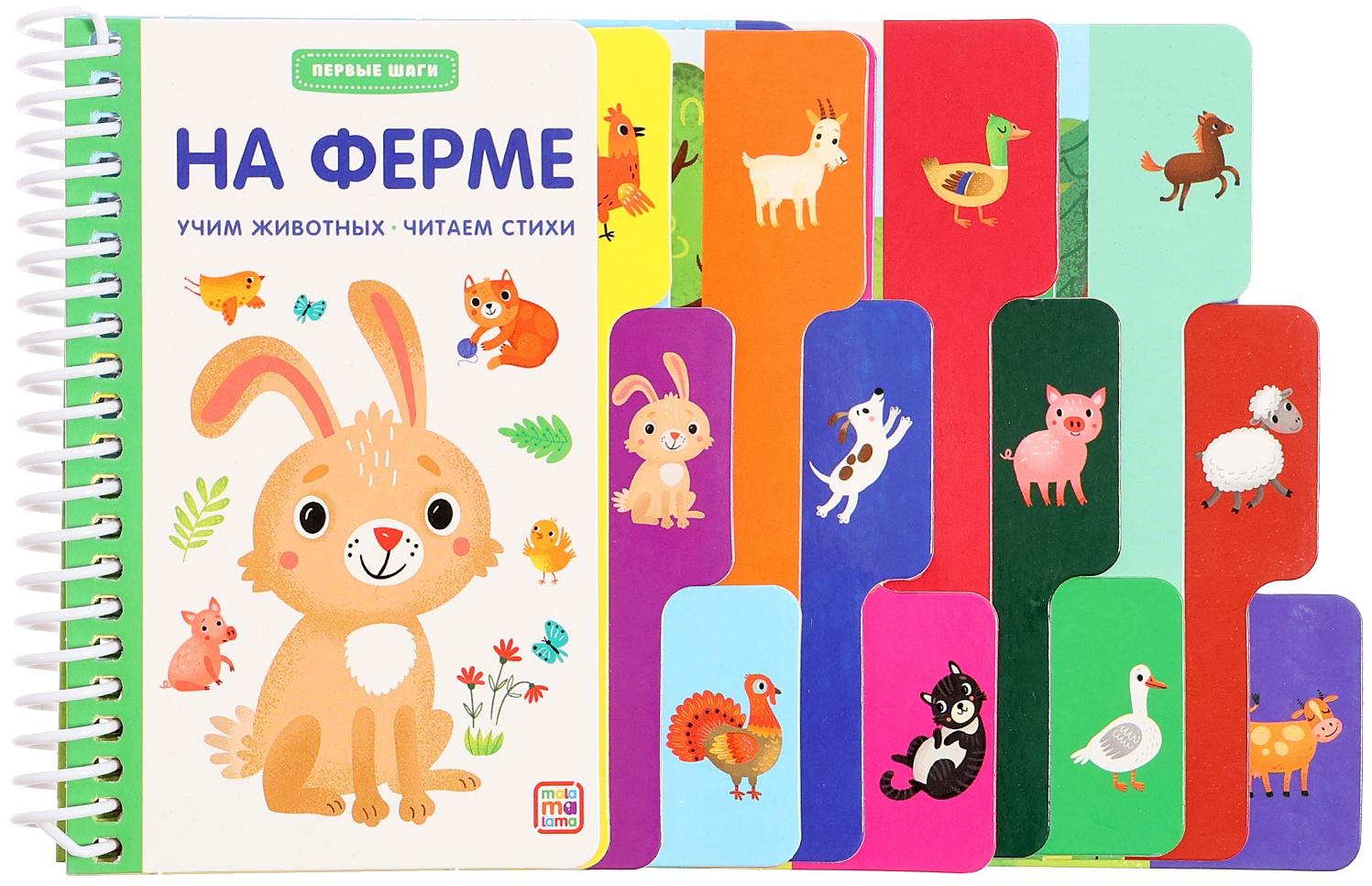 Книжка-картонка 