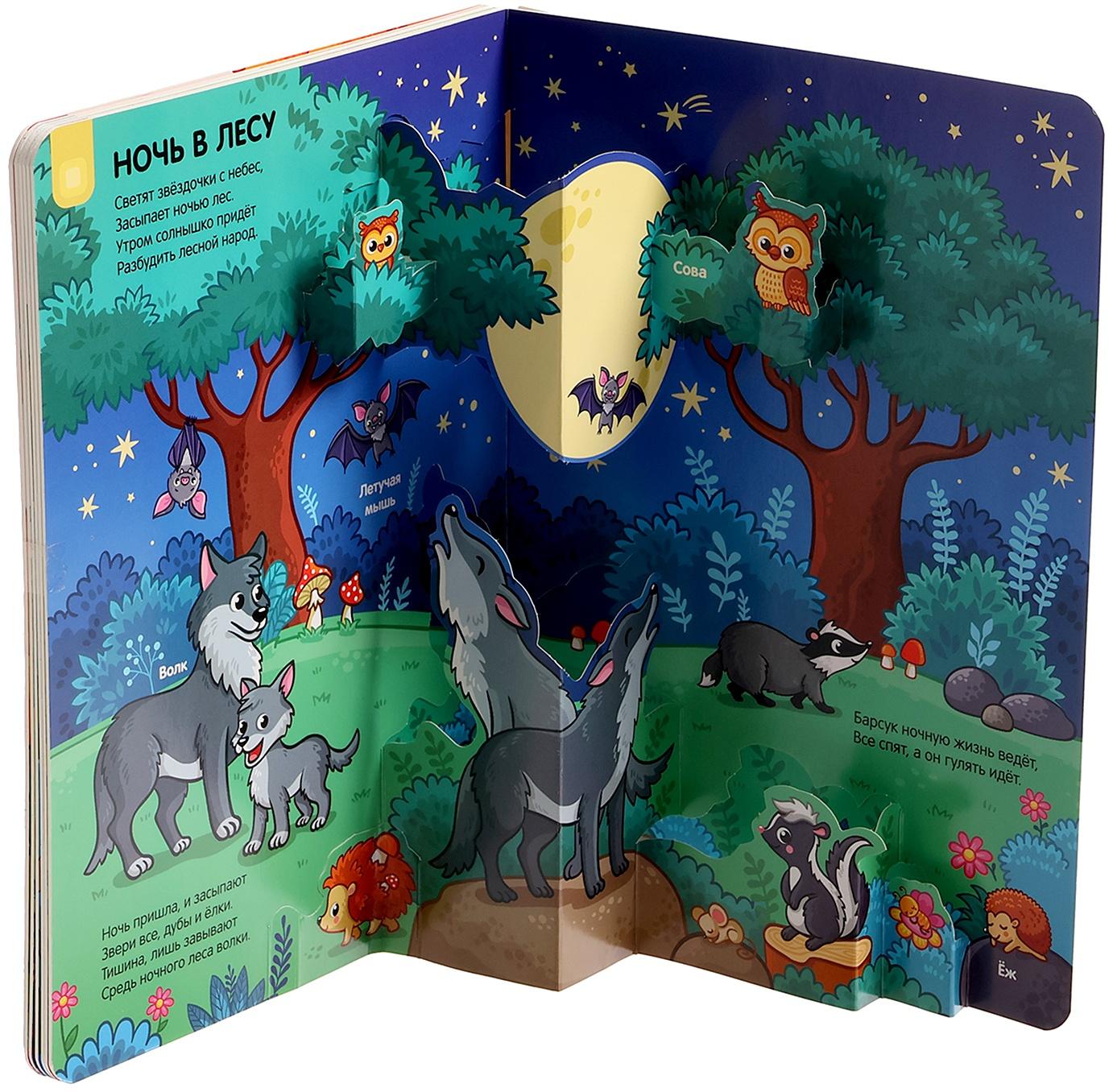 Играй и учись 