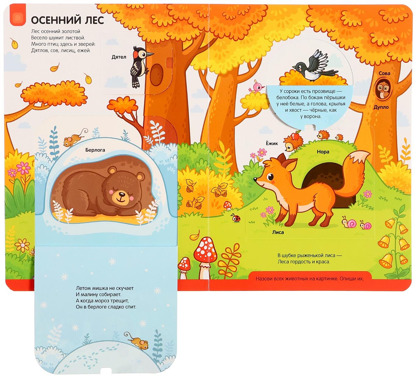 Играй и учись 