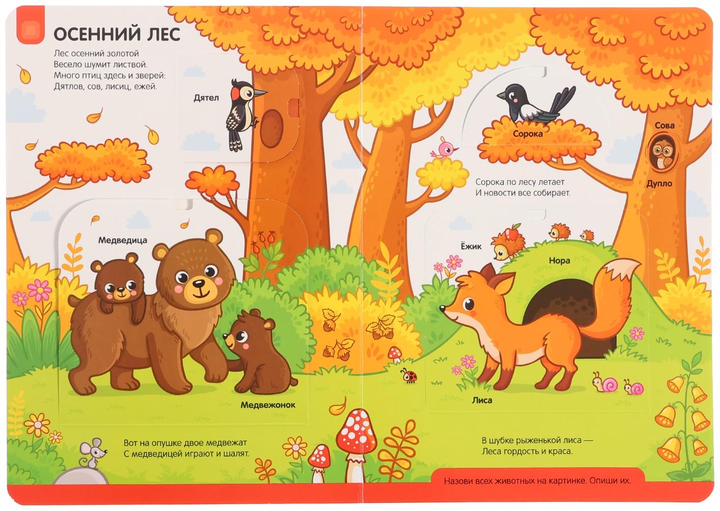 Играй и учись 