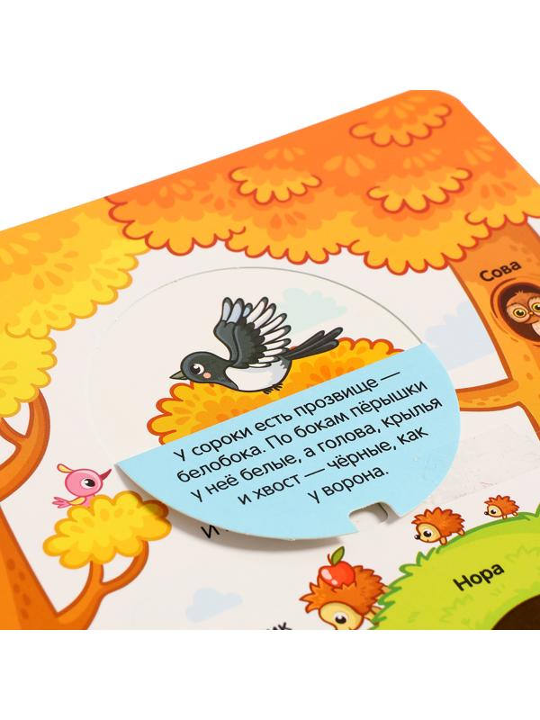 Играй и учись 