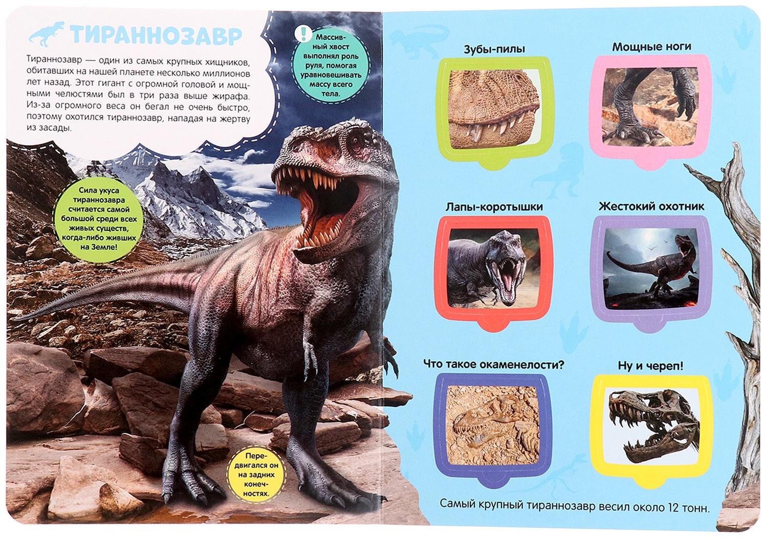 Книжка с окошками 