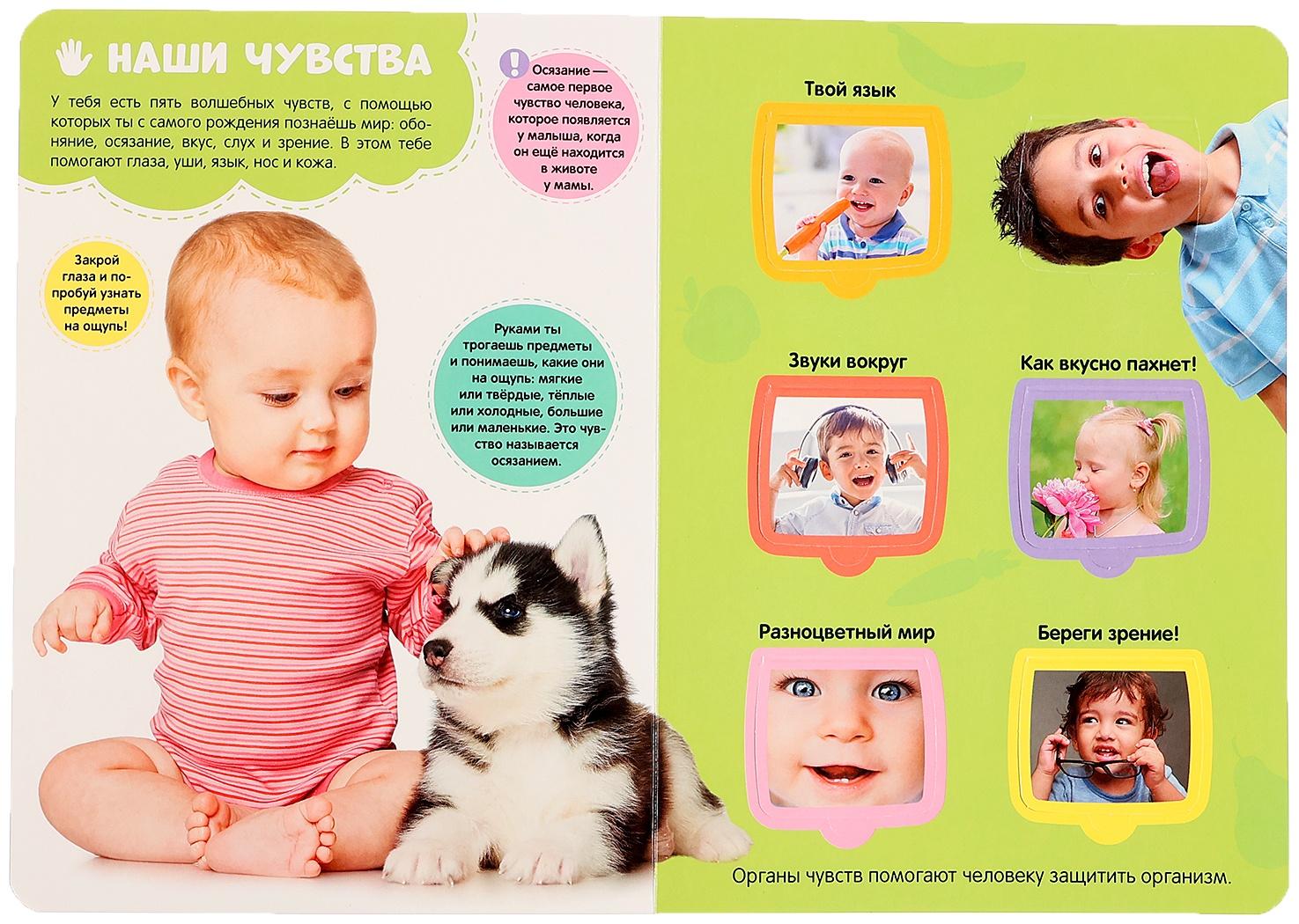 Книжка с окошками 