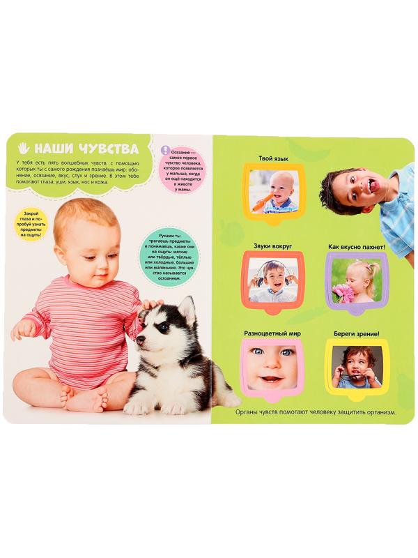 Книжка с окошками 