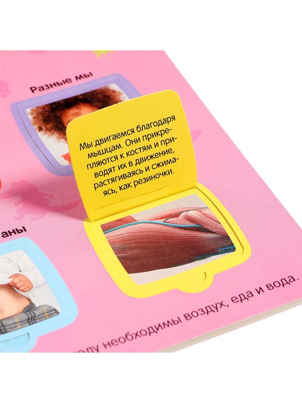 Книжка с окошками 