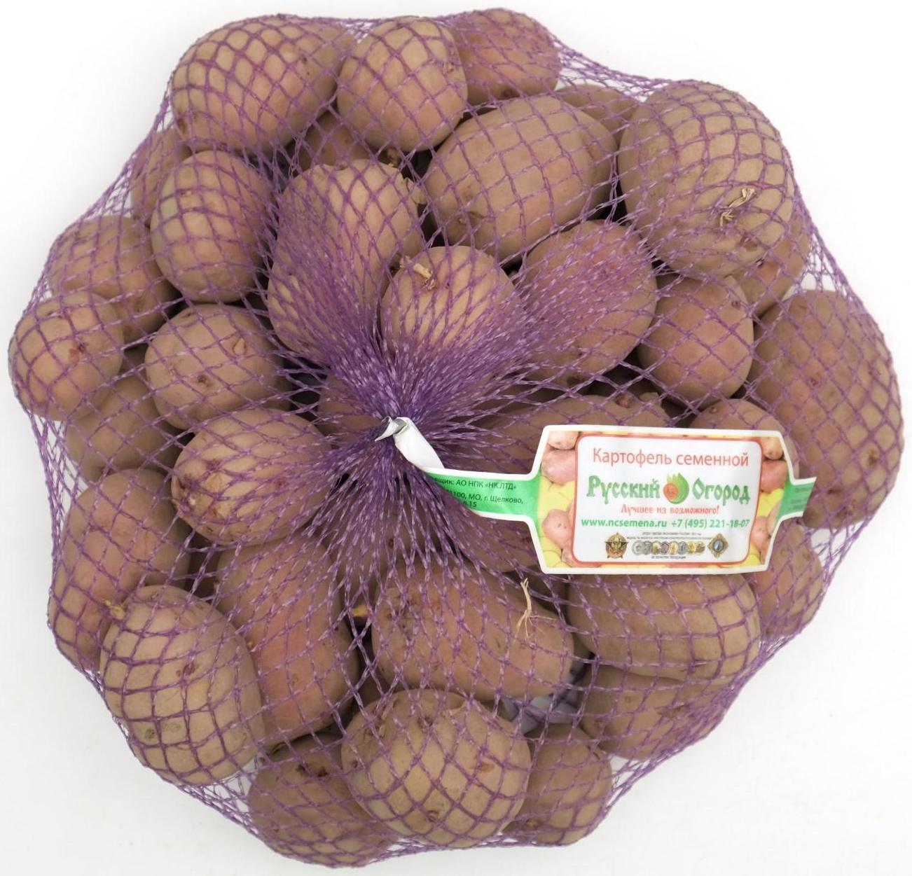 Семенной картофель 