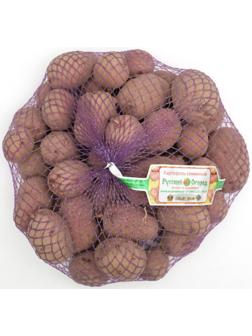 Семенной картофель 