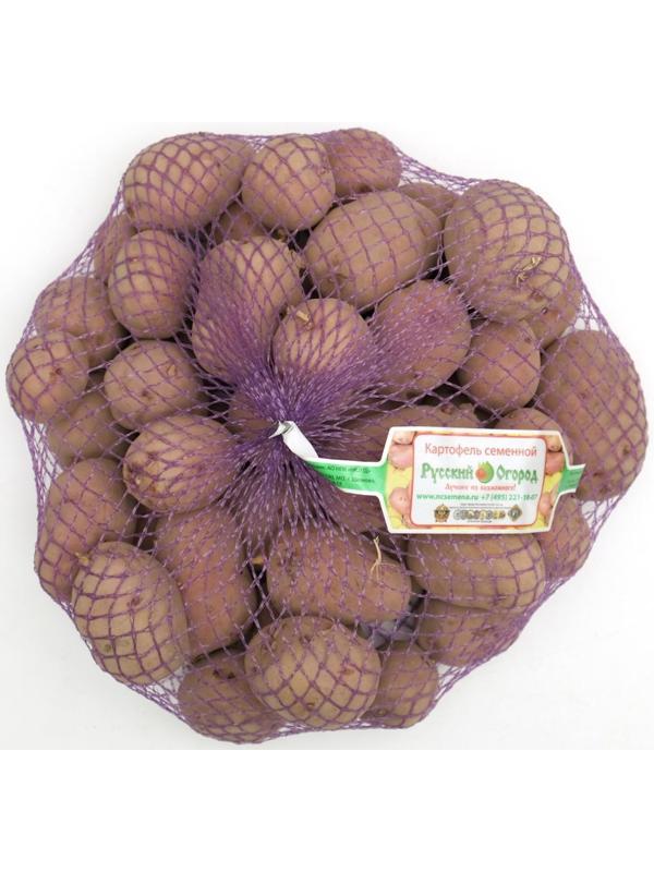 Семенной картофель 
