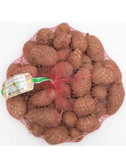 Семенной картофель 