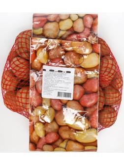 Семенной картофель 