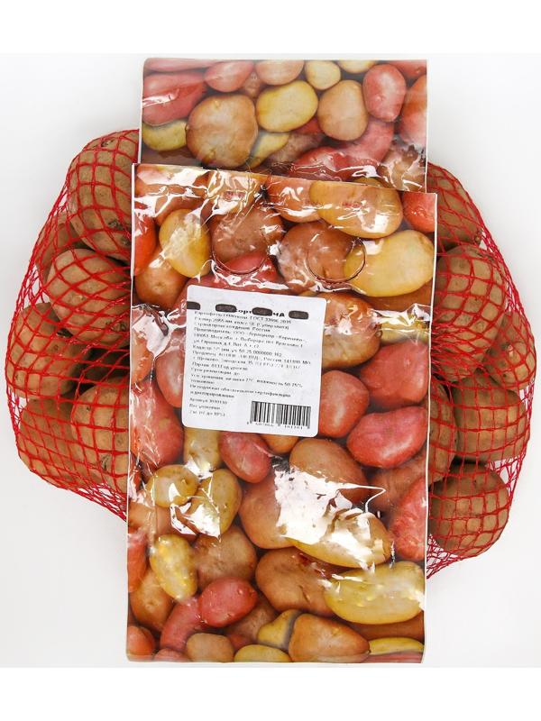 Семенной картофель 