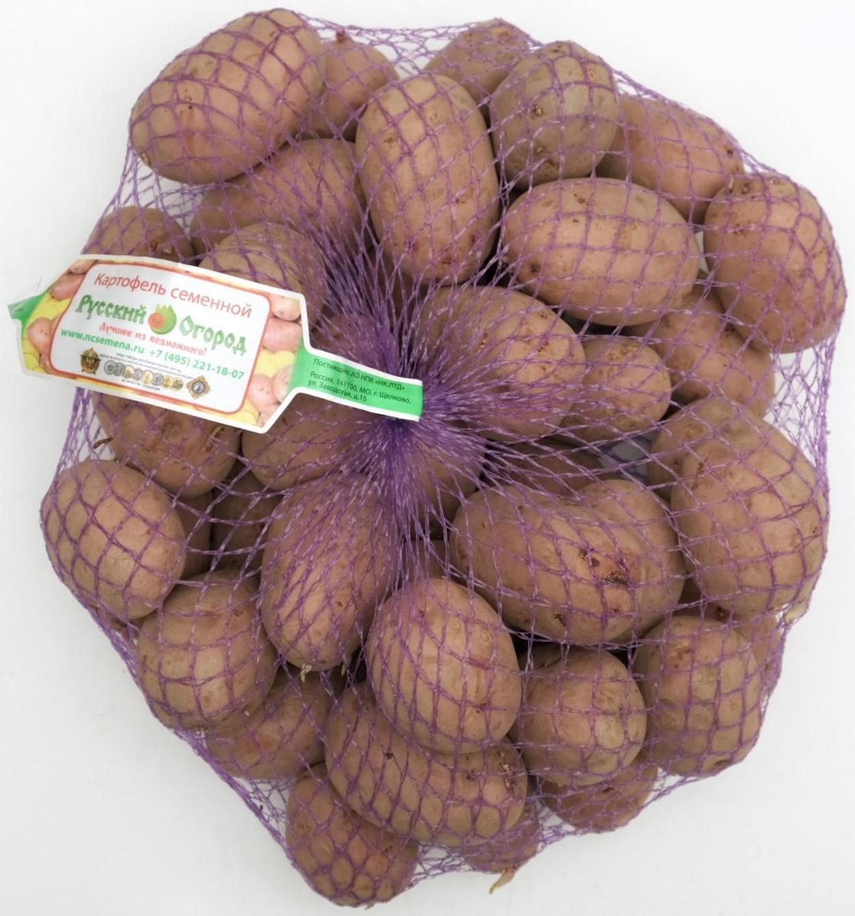 Семенной картофель 