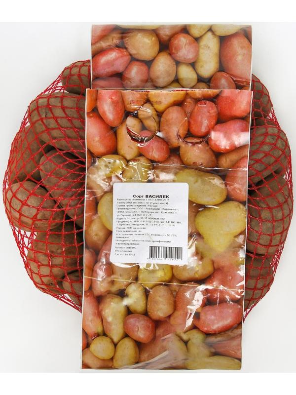 Семенной картофель 