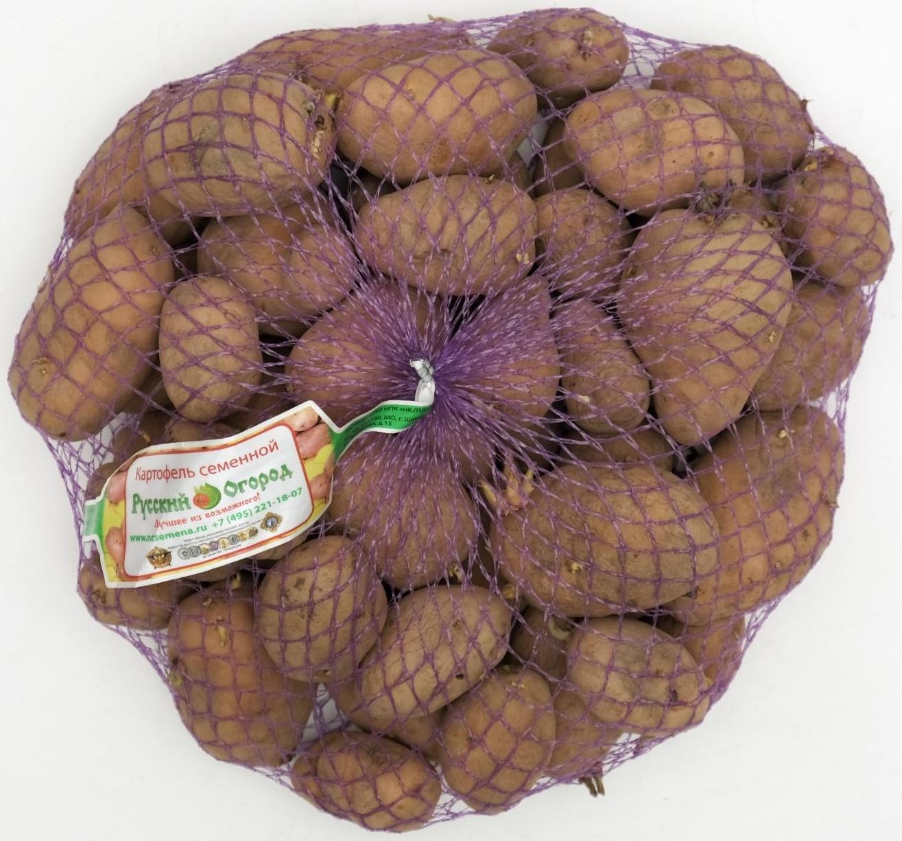 Семенной картофель 