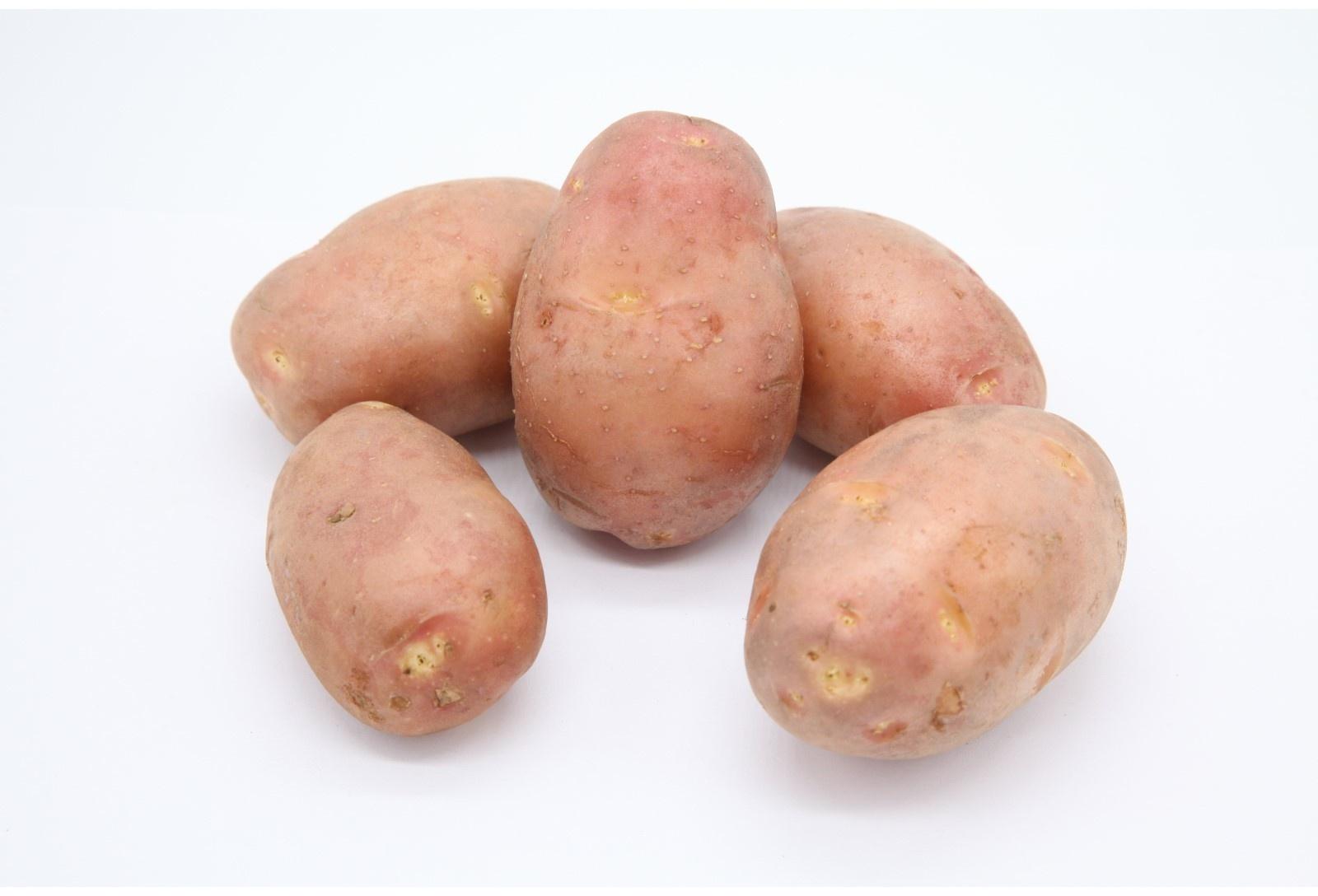 Семенной картофель 