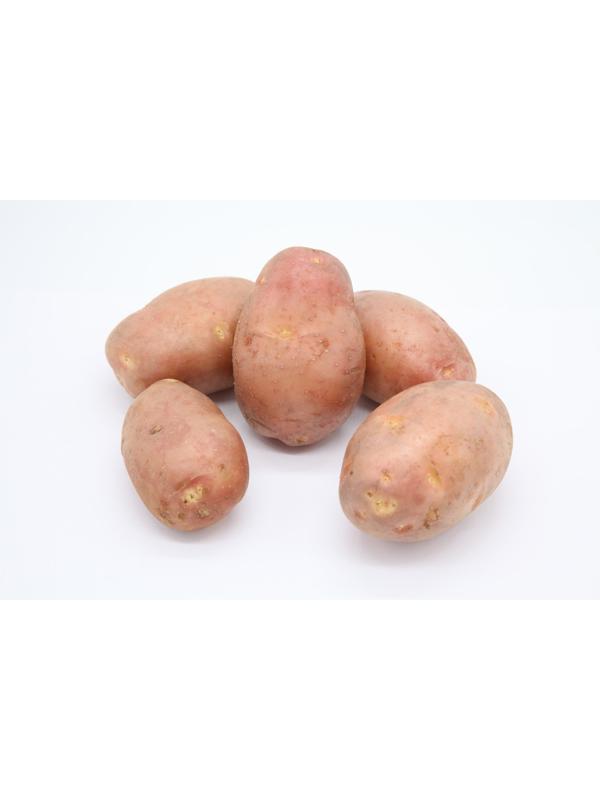 Семенной картофель 