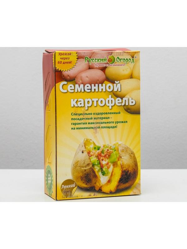 Семенной Картофель ранний красный и белый клубень 12 шт, элита