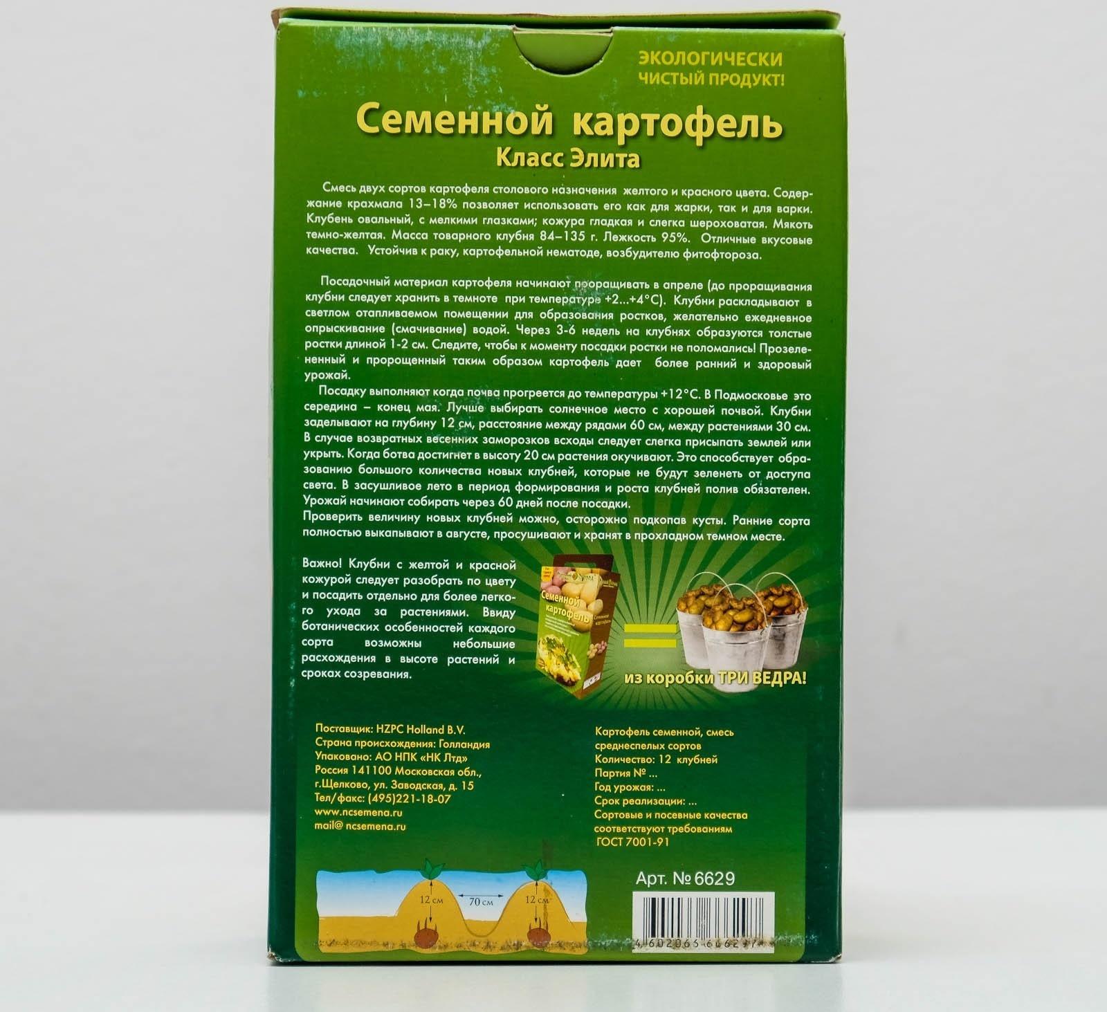 Семенной Картофель среднепозний красный и белый клубень 12 шт, Элита