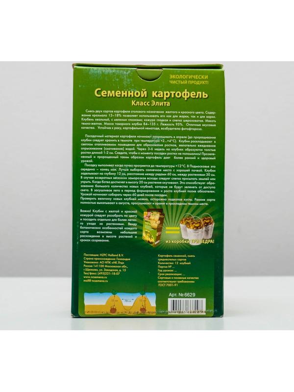 Семенной Картофель среднепозний красный и белый клубень 12 шт, Элита